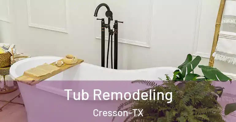 inner Bathroom imggen Tub Remodeling Cresson-TX