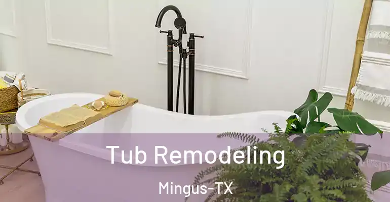 inner Bathroom imggen Tub Remodeling Mingus-TX