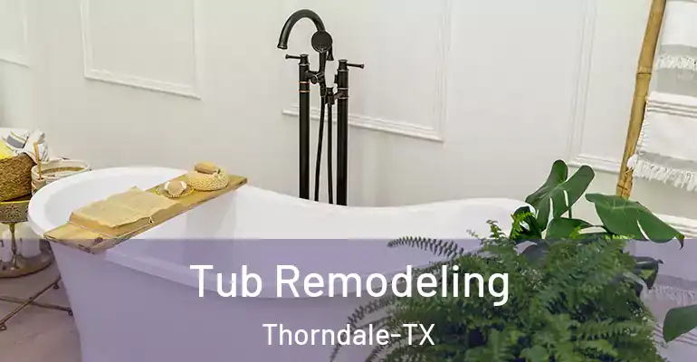 inner Bathroom imggen Tub Remodeling Thorndale-TX