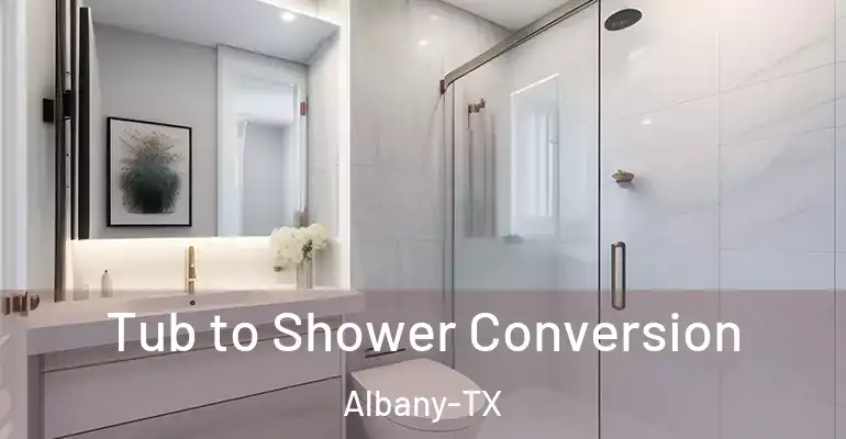 inner Bathroom imggen Tub to Shower Conversion Albany-TX