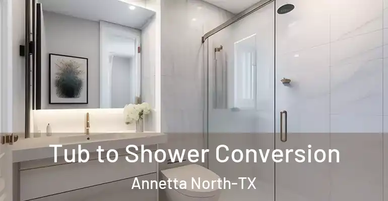 inner Bathroom imggen Tub to Shower Conversion Annetta North-TX