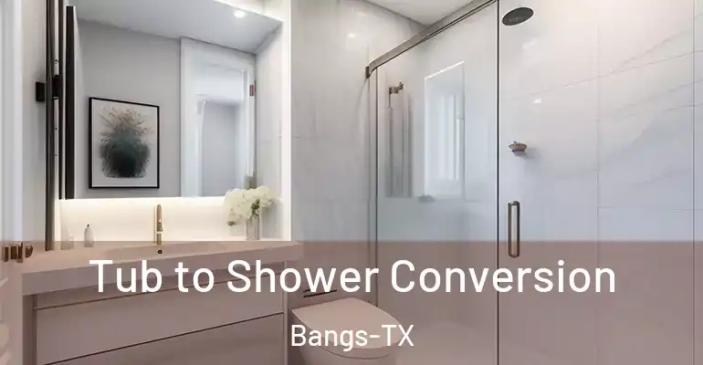 inner Bathroom imggen Tub to Shower Conversion Bangs-TX