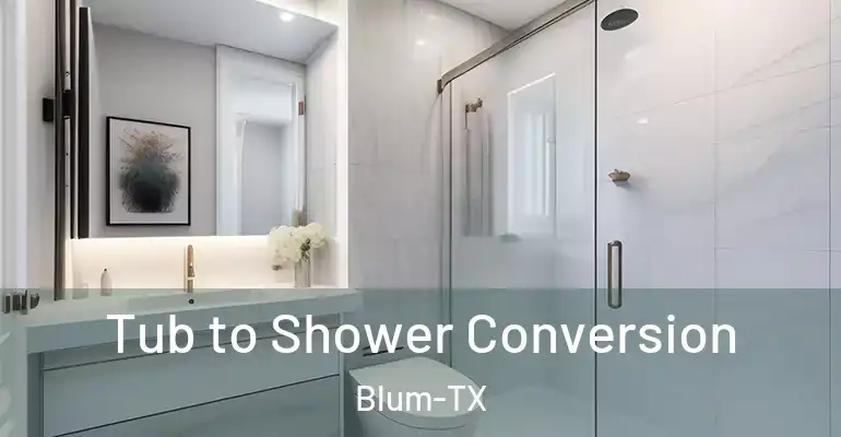 inner Bathroom imggen Tub to Shower Conversion Blum-TX