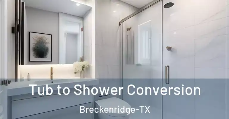 inner Bathroom imggen Tub to Shower Conversion Breckenridge-TX