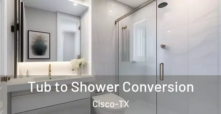inner Bathroom imggen Tub to Shower Conversion Cisco-TX