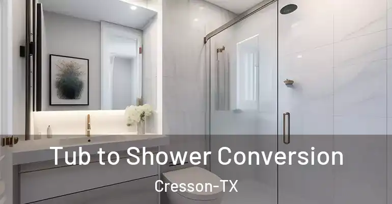 inner Bathroom imggen Tub to Shower Conversion Cresson-TX