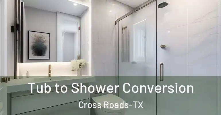 inner Bathroom imggen Tub to Shower Conversion Cross Roads-TX