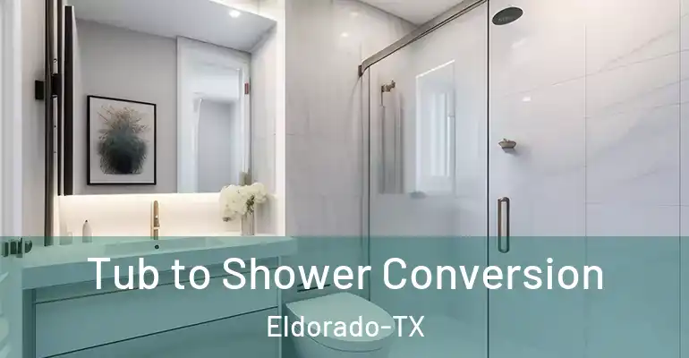 inner Bathroom imggen Tub to Shower Conversion Eldorado-TX
