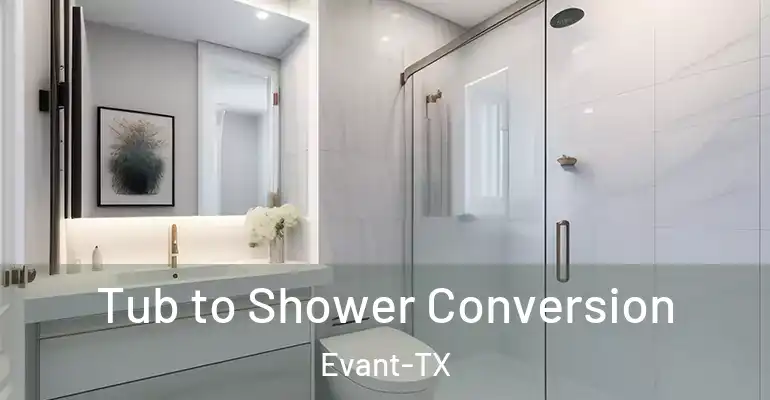 inner Bathroom imggen Tub to Shower Conversion Evant-TX