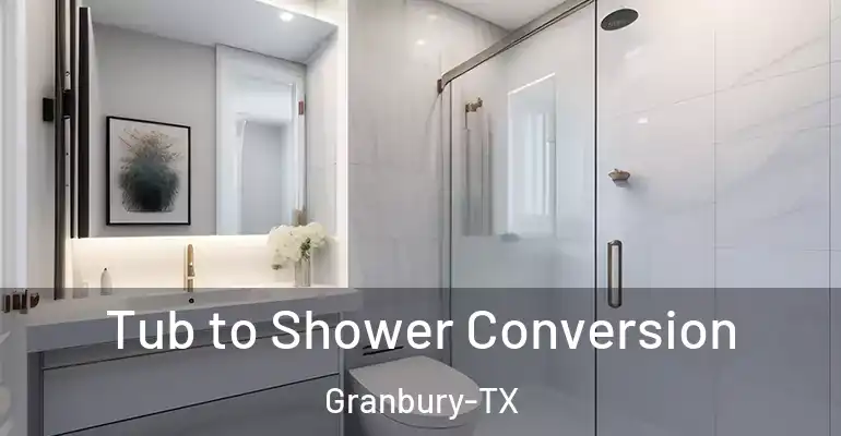 inner Bathroom imggen Tub to Shower Conversion Granbury-TX