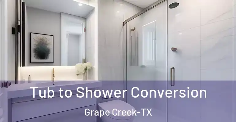 inner Bathroom imggen Tub to Shower Conversion Grape Creek-TX