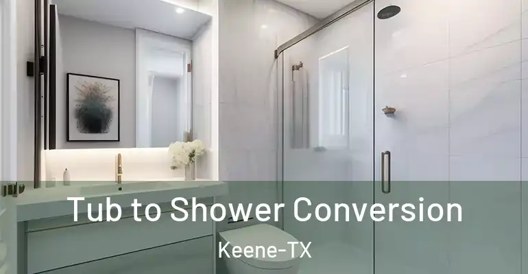 inner Bathroom imggen Tub to Shower Conversion Keene-TX