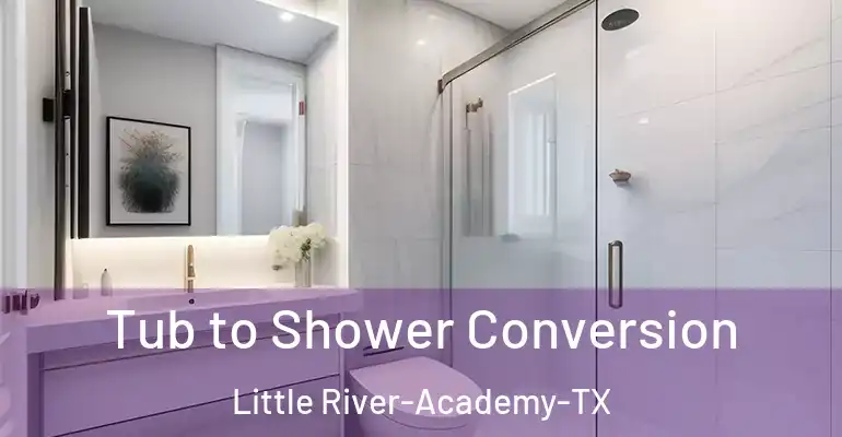inner Bathroom imggen Tub to Shower Conversion Little River-Academy-TX