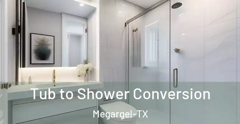 inner Bathroom imggen Tub to Shower Conversion Megargel-TX