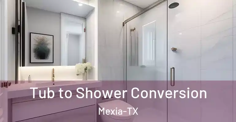 inner Bathroom imggen Tub to Shower Conversion Mexia-TX