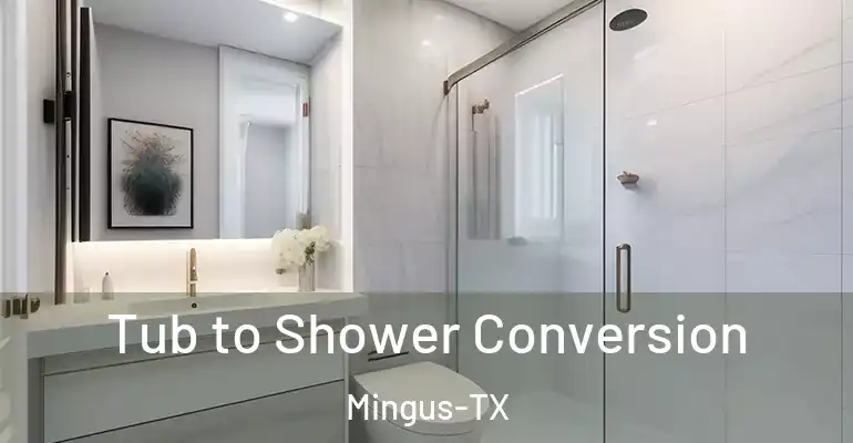inner Bathroom imggen Tub to Shower Conversion Mingus-TX