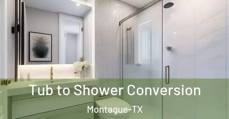 inner Bathroom imggen Tub to Shower Conversion Montague-TX