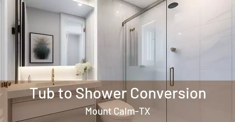 inner Bathroom imggen Tub to Shower Conversion Mount Calm-TX