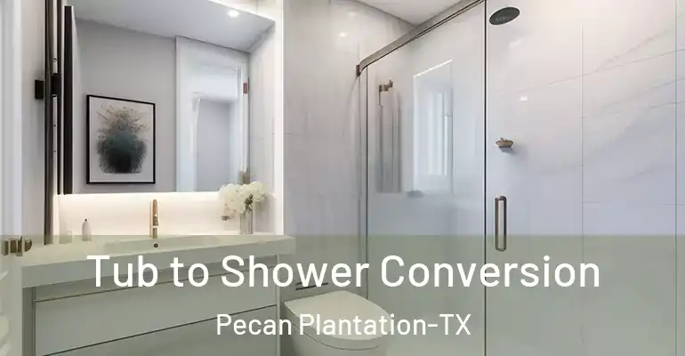 inner Bathroom imggen Tub to Shower Conversion Pecan Plantation-TX