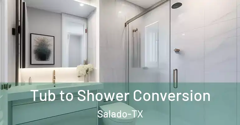 inner Bathroom imggen Tub to Shower Conversion Salado-TX