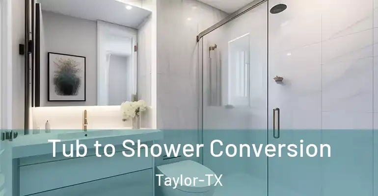 inner Bathroom imggen Tub to Shower Conversion Taylor-TX
