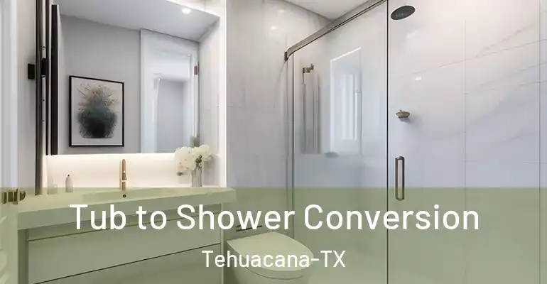 inner Bathroom imggen Tub to Shower Conversion Tehuacana-TX