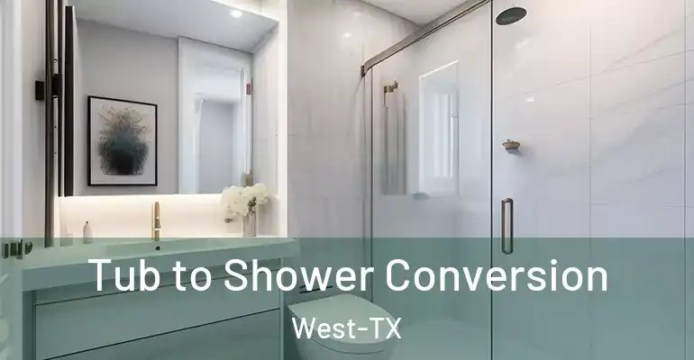 inner Bathroom imggen Tub to Shower Conversion West-TX