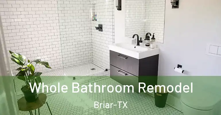inner Bathroom imggen Whole Bathroom Remodel Briar-TX