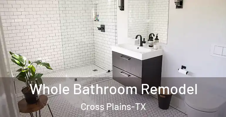 inner Bathroom imggen Whole Bathroom Remodel Cross Plains-TX